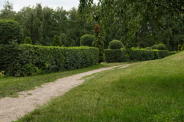 A well-maintained dirt path winds through lush green hedges and open grass in a quiet park. The sky is overcast, adding a serene ambiance to the landscape