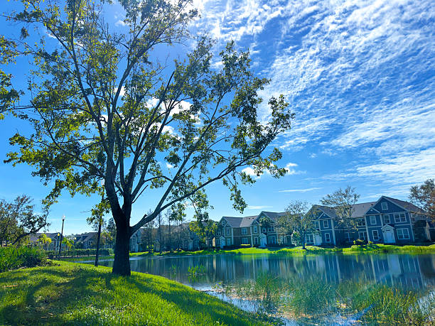 A boat on the water. Tree. Water. Outdoor. Sky. River