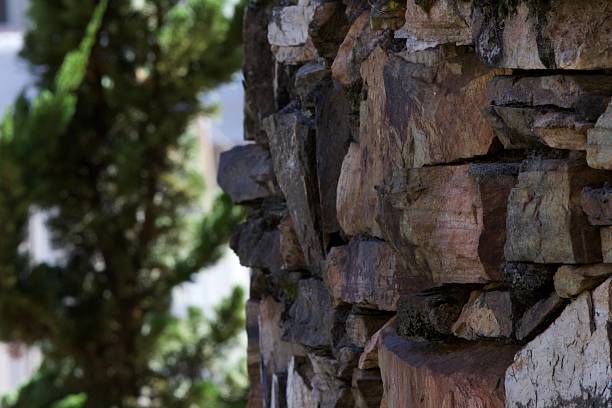 A wall made of rocks and a tree in the background. The wall is made of large rocks and has a rough texture. The tree is tall and has green leaves. Scene is peaceful and natural
