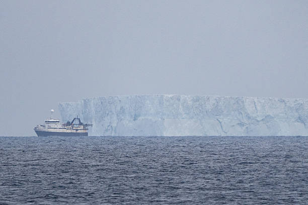 istock Krill trawler and tabular iceberg off South Georgia 2222269885
