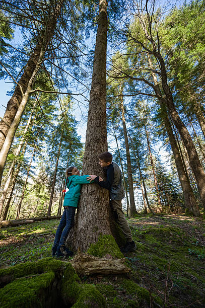 istock Brother and sister embrace a large tree in a sun-dappled forest. 2222272875