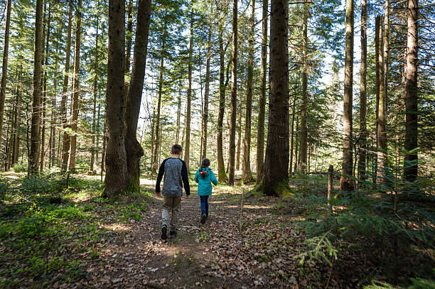 istock Two children hike a sun-dappled path through a lush forest, enjoying a nature walk. 2222273130