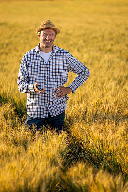 istock Mature Man Smiling in Golden Wheat Field 2222281920