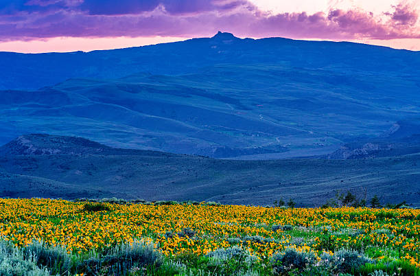 istock Castle Peak Sunset with Wildflowers in Summer 2222282357