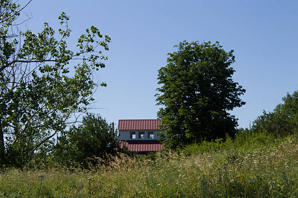 Beautiful wooden hut weathered and surrounded by wild flowers in garden. This image was taken during a sunset in Alps mountains, in Isere, Auvergne-Rhone-Alpes region in France.
