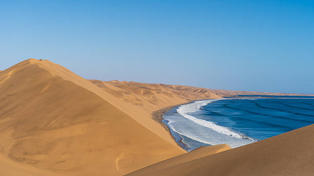 istock Atlantic embrace Namibia's Coastal Dunes 2222282609
