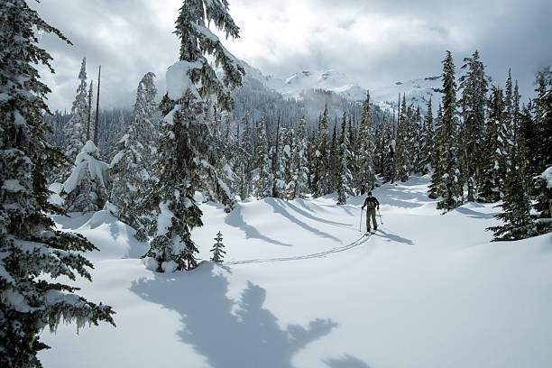 istock Backcountry skier climbs mountain through forest 2222283124