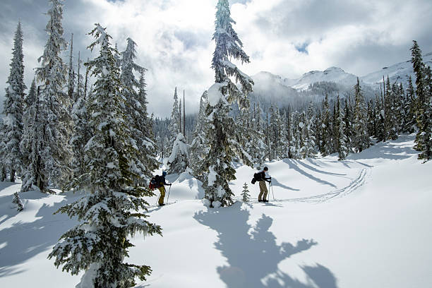 istock Backcountry skiers climb mountain through forest 2222283126