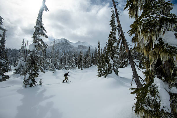 istock Backcountry skier climbs mountain through forest 2222283127