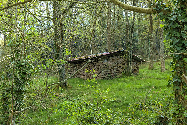 istock Shepherd's cabin in the mountains 2222283158