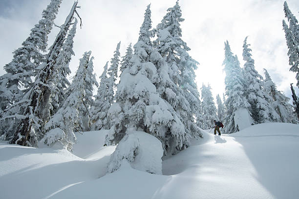 Ski mountaineer ascends snowcapped mountain