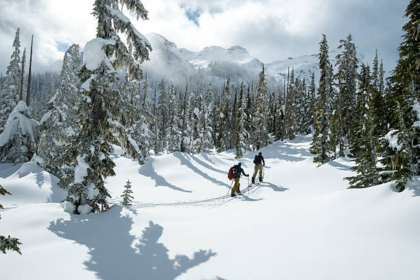 istock Backcountry skiers climb mountain through forest 2222283346