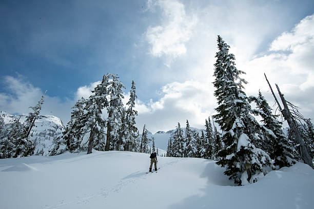 istock Backcountry skier climbs mountain through forest 2222283411
