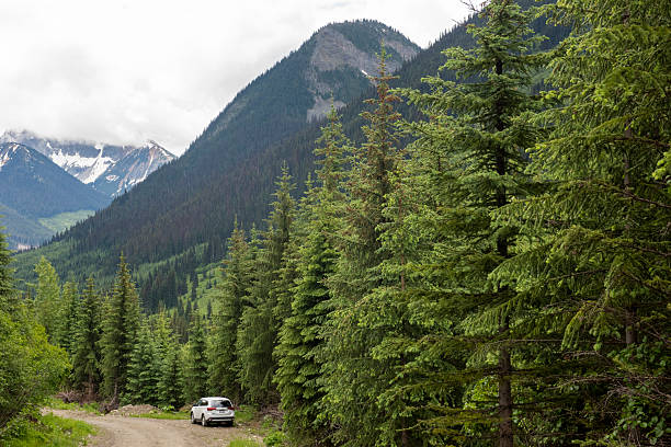 istock Vehicle parked on mountain road in forest 2222283873