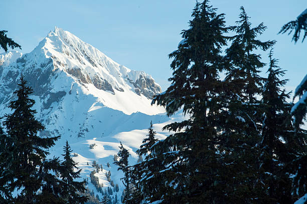 Schladming Tauern in winter, the view from the Planai. The Schladming Tauern (German: Schladminger Tauern) are a subrange of the Austrian Central Alps within the Eastern Alps.