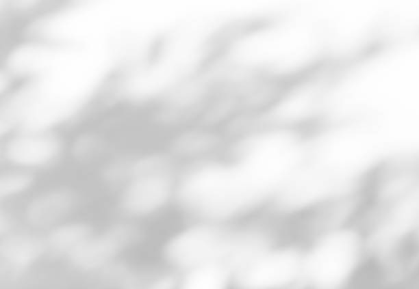 istock Shadow of leaves tree plant overlay on white wall. 2222295205