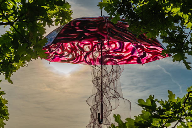 Umbrella suspended on green leaf tree with sunset fresh soft color
