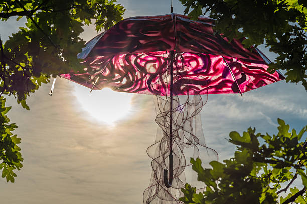 Umbrella suspended on green leaf tree with sunset fresh soft color