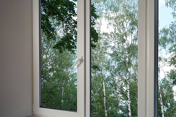 istock View through a  window of a forest, a park with green trees. 2222302532