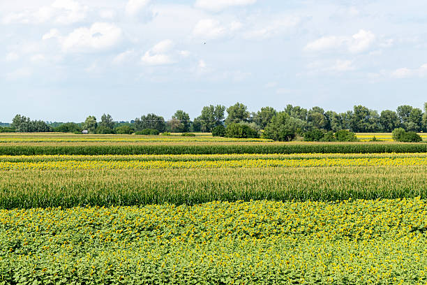 istock Landscape in the countryside 2222304282
