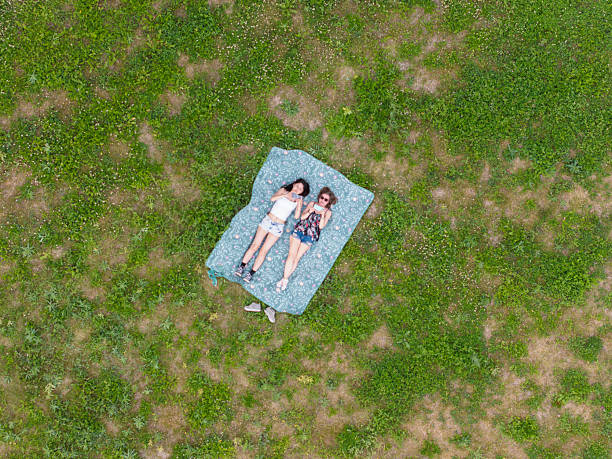 istock Two women on a blanket in summer using their mobile phones 2222311820