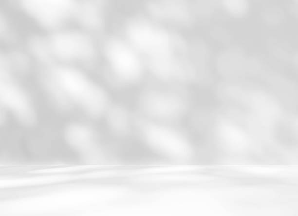 istock Empty white room studio with leaves shadow overlay effect for product presentation display. 2222314457