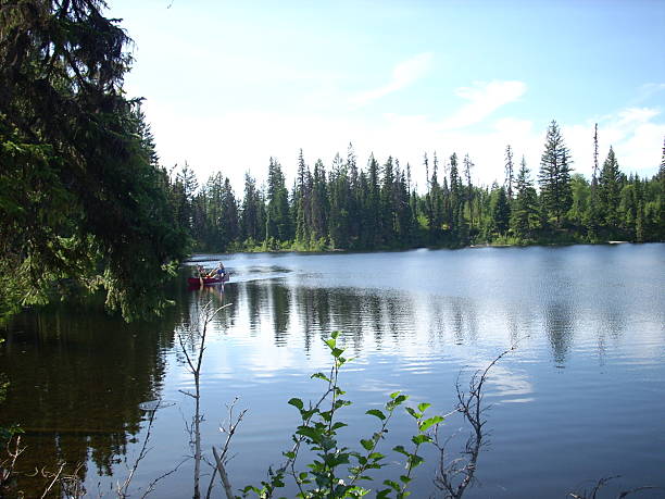 Canoeing with the forest around the lake