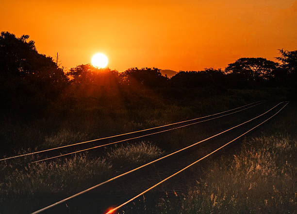 A glowing sunset casts warm orange light across railway tracks curving through the South African wilderness. The fading sun silhouettes trees in the background while the rail lines shimmer in the golden hour glow, evoking a sense of journey and tranquility.