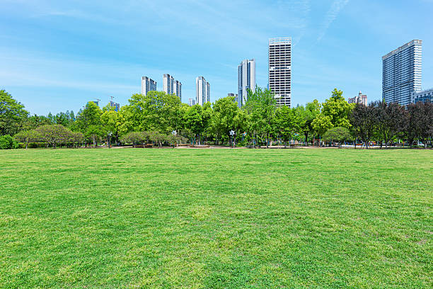 istock Green grass field in modern city park 2222340271