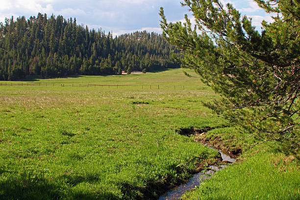istock Brook at Casa Vieja Meadows 2222341275