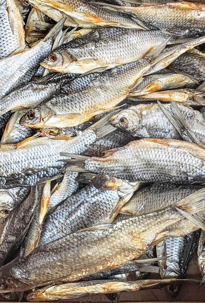 istock Dried roach fish forming a textured background for seafood cuisine 2222343635
