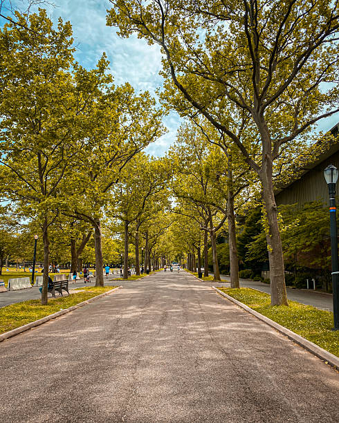 istock Vertical photo of a park trail 2222348490