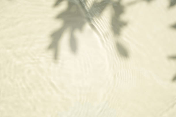 istock Top view background summer natural Beige surface, clear water with ripples and splashes. water waves in sunlight The water surface has waves and concept background cosmetics moisturizer toner 2222358300