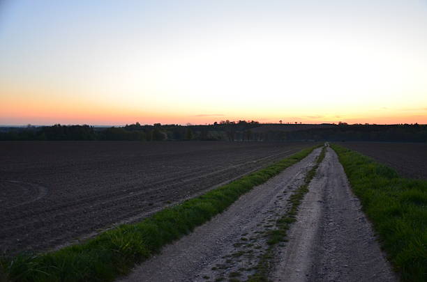 A peaceful road leading into the countryside, bordered by lush greenery, fields, and open skies. This scenic rural pathway evokes feelings of calm, freedom, and escape to nature. Perfect for themes like travel, adventure, rural life, and natural landscapes.