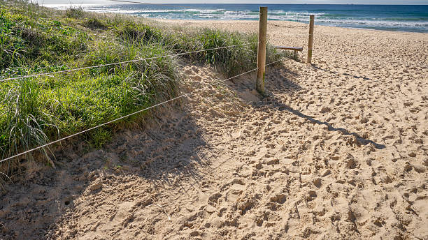 istock Buddina Walk to the Beach 2222360432