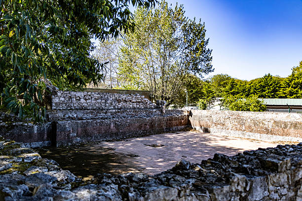 Praganca Royal Ice Factory