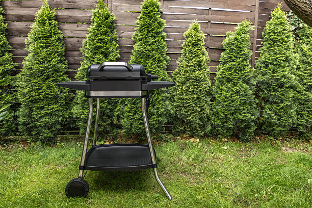 istock Assembling a new grill on the plot, installing an electric grill, hotplate, thermostat, power cable, barbecue 2222369955