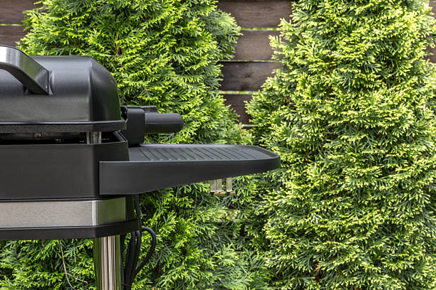 istock Assembling a new grill on the plot, installing an electric grill, hotplate, thermostat, power cable, barbecue 2222369981