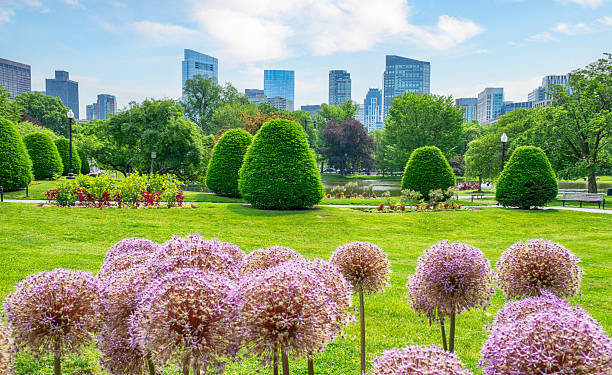 istock Boston Cityscape through the Boston Common Public Park 2222370902