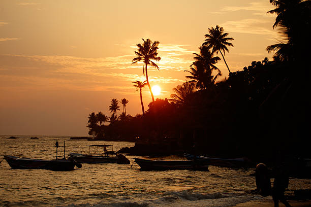 istock A beautiful sunset over the ocean with palm trees in the background 2222371941