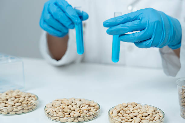 Scientist analyze biochemical sample in advanced scientific laboratory. Medical professional check chemical mix microbiological developmental of viral. Biotechnology research in science lab. cosmetic