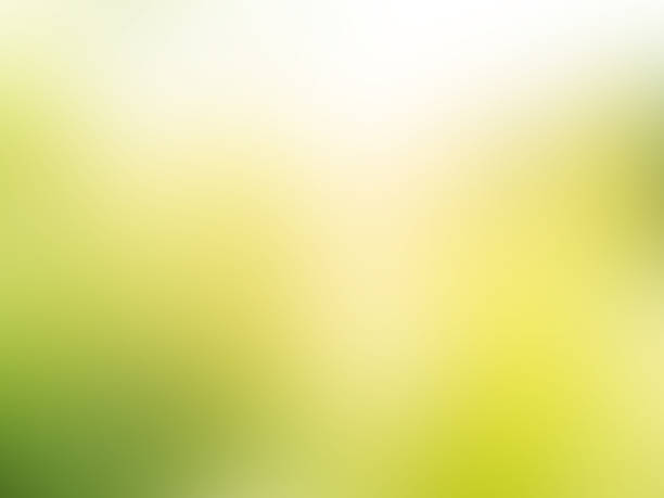 istock Blur nature in morning 2222373274