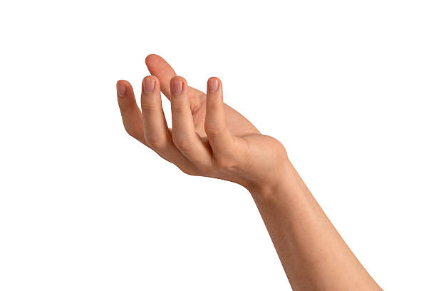 istock Beautiful hand gesture isolated on white background. High quality studio shot. Concept for health and beauty care, business technology, and advertising. 2222377525