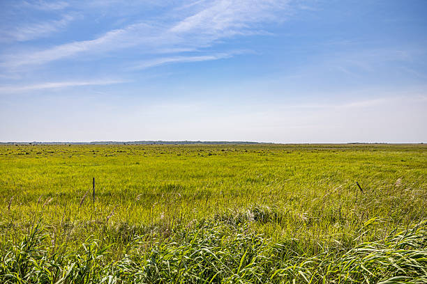 istock Flat coastal meadow with a delicate fence 2222378254