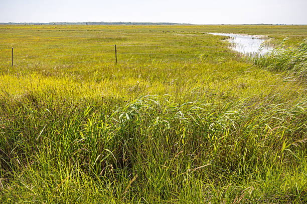 istock Flat coastal meadow with a delicate fence 2222378266
