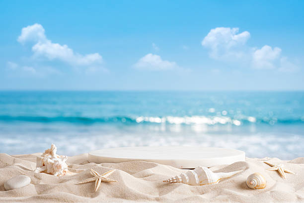 Stone podium and various shells on sand beach over tropical summer sea background