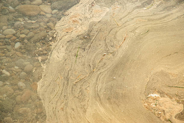 istock Layers of decayed phytoplankton closeup as natural background 2222381915