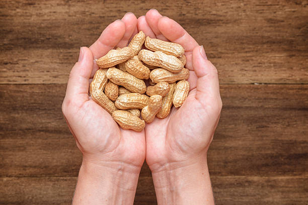 istock Opened female palms with fresh peanuts on wooden background 2222393370