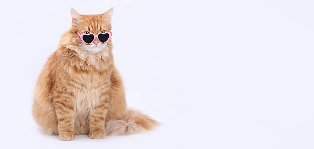 istock Funny Ginger Cat Wearing Pink Heart-Shaped Sunglasses 2222401695