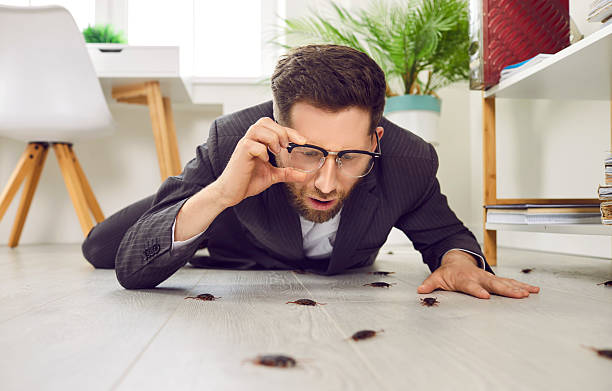 Shocked young man looking at lots of cockroaches crawling everywhere on the floor stock photo